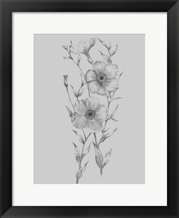 Framed Grey Flower Sketch Illustration I Print