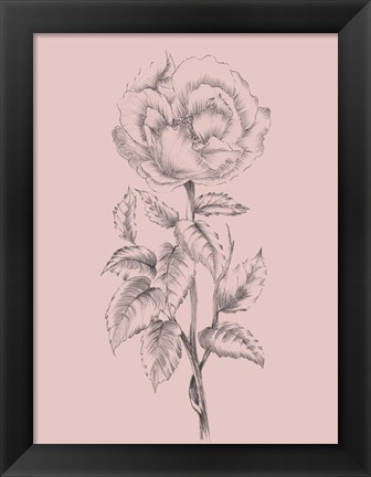 Framed Pretty Pink Flower Print