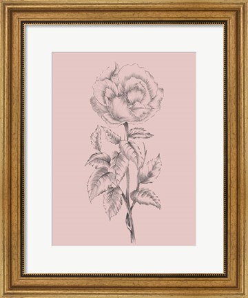 Framed Pretty Pink Flower Print