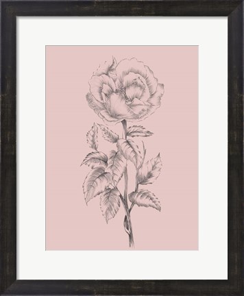 Framed Pretty Pink Flower Print