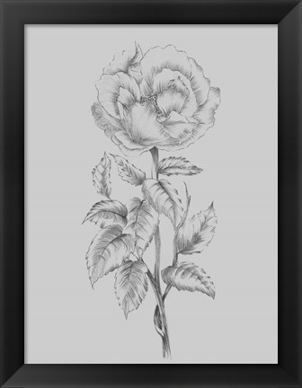 Framed Pretty Flower Print