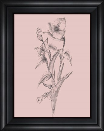 Framed Pretty Pink Flower I Print