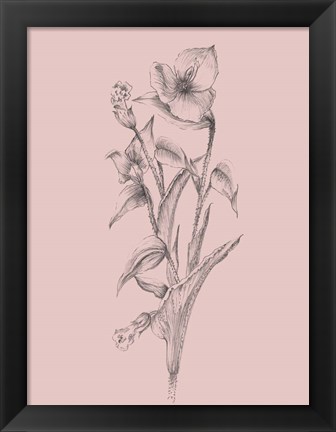 Framed Pretty Pink Flower I Print