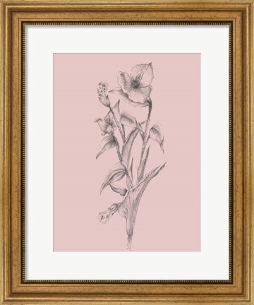 Framed Pretty Pink Flower I Print