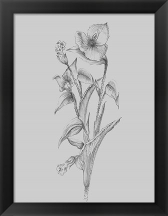 Framed Pretty Flower I Print