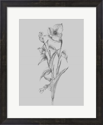 Framed Pretty Flower I Print
