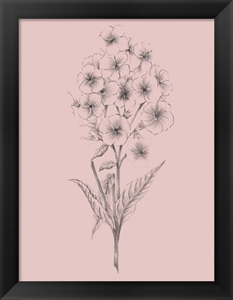 Framed Pretty Pink Flower III Print