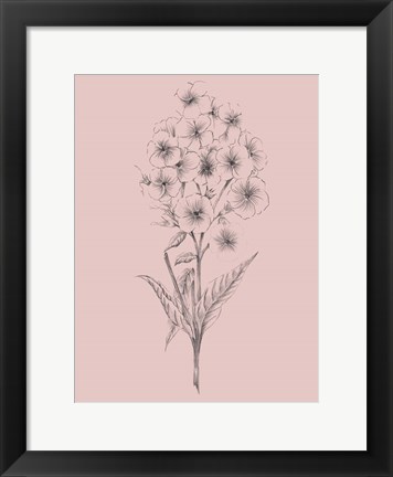 Framed Pretty Pink Flower III Print