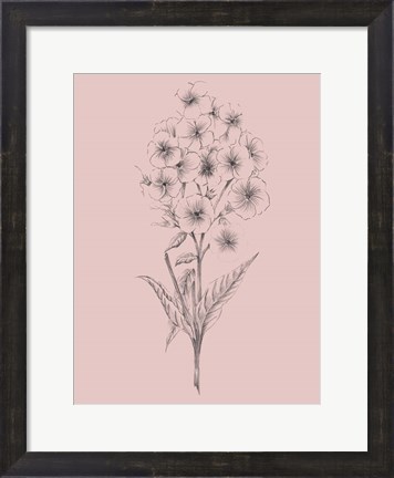 Framed Pretty Pink Flower III Print