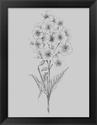 Framed Pretty Flower III Print