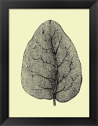 Framed Leaf Print