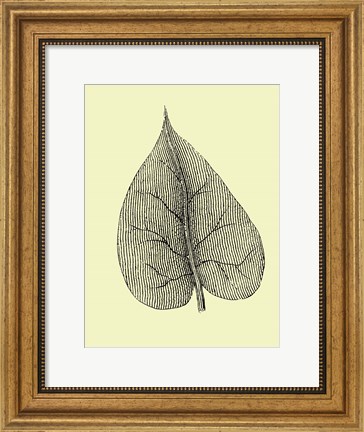 Framed Leaf I Print