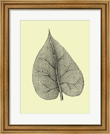 Framed Leaf I Print