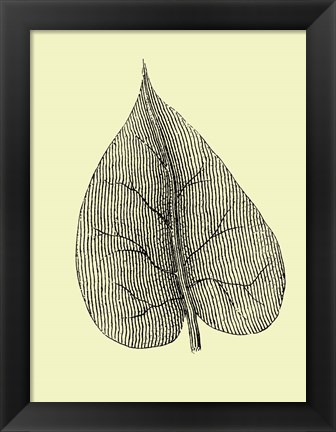 Framed Leaf I Print