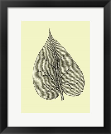 Framed Leaf I Print