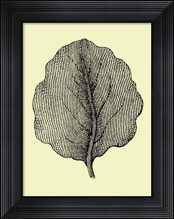 Framed Leaf II Print
