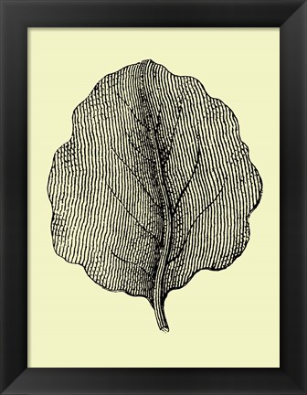 Framed Leaf II Print