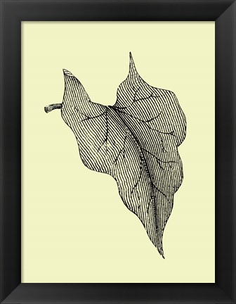 Framed Leaf III Print