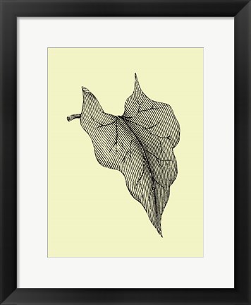 Framed Leaf III Print