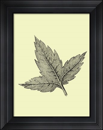 Framed Floating Leaf Print