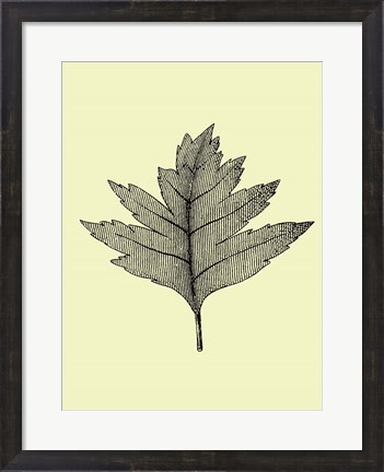 Framed Floating Leaf I Print