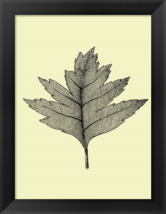 Framed Floating Leaf I Print