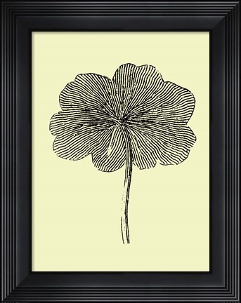 Framed Floating Leaf II Print