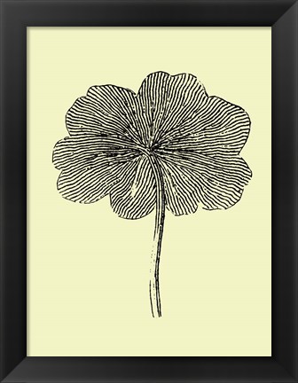 Framed Floating Leaf II Print