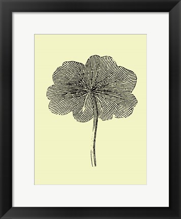 Framed Floating Leaf II Print