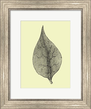 Framed Floating Leaf III Print