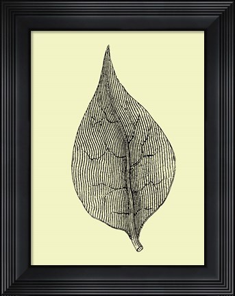 Framed Floating Leaf III Print