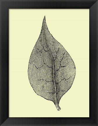 Framed Floating Leaf III Print