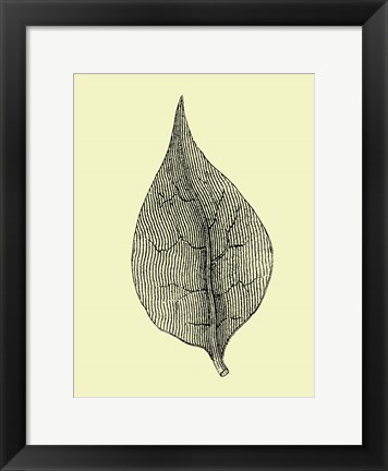 Framed Floating Leaf III Print