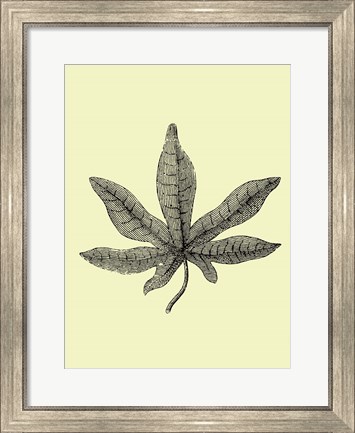 Framed Vintage Leaf Print