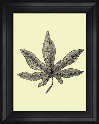 Framed Vintage Leaf Print