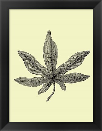 Framed Vintage Leaf Print