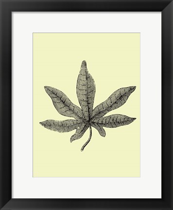 Framed Vintage Leaf Print