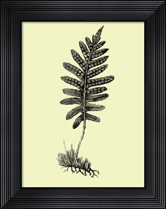 Framed Floating Leaf Branch Print