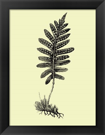 Framed Floating Leaf Branch Print