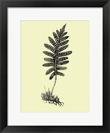 Framed Floating Leaf Branch Print