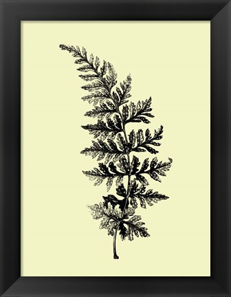 Framed Floating Leaf Branch I Print