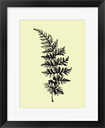 Framed Floating Leaf Branch I Print