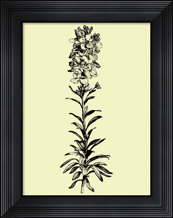 Framed Floating Flower I Print