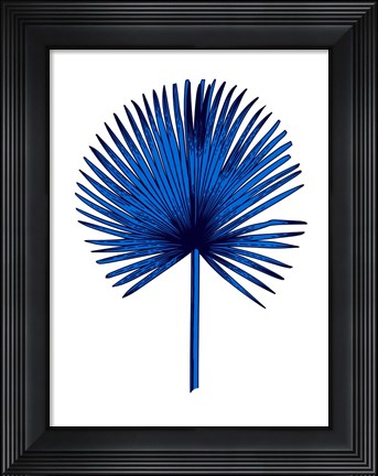 Framed Blue Chamaerops Leaf Print
