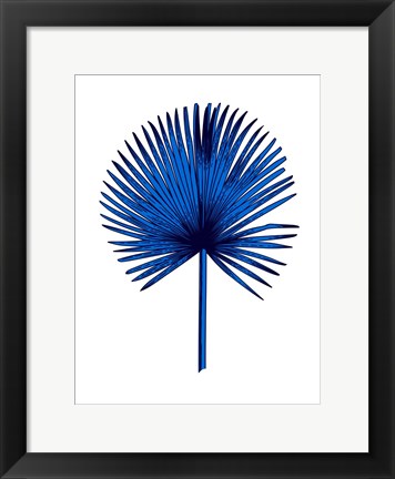 Framed Blue Chamaerops Leaf Print