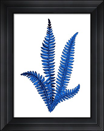 Framed Floating Blue Plant Print