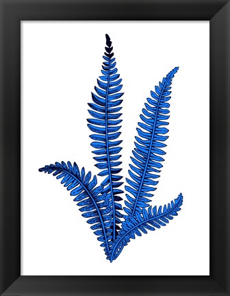 Framed Floating Blue Plant Print