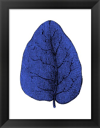 Framed Floating Blue Leaf I Print