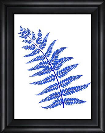 Framed Blue Leaf Plant Print