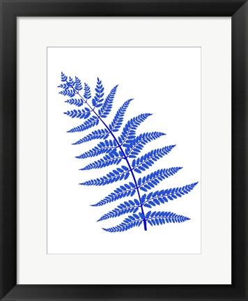Framed Blue Leaf Plant Print